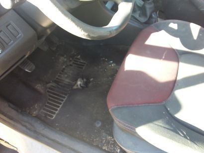 Véhicule RENAULT modèle CLIO SOCIETE, de...
