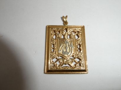 1 Pendentif Or 18kt 11,41g 