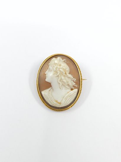 BROCHE camée coquille, cerclage en or jaune...