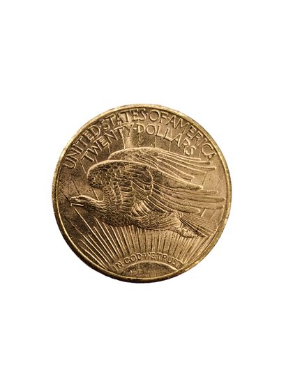 PIECE de 20 dollars Or
1909
Poids: 33,4g