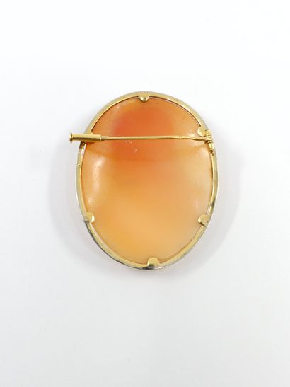 BROCHE camée coquille, cerclage en or jaune...
