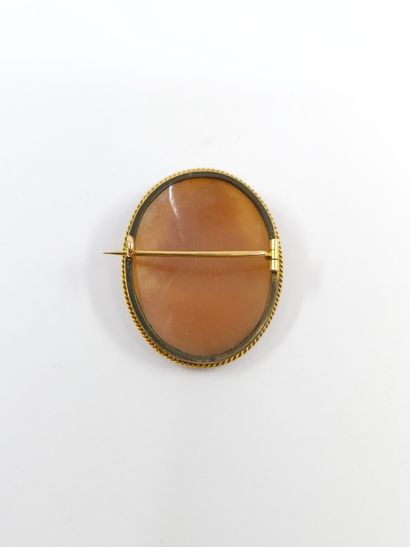 BROCHE camée coquille, cerclage en or jaune...