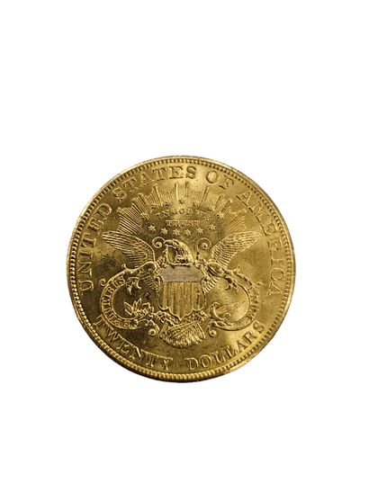 PIECE de 20 dollars Or
1904
Poids: 33,4g
