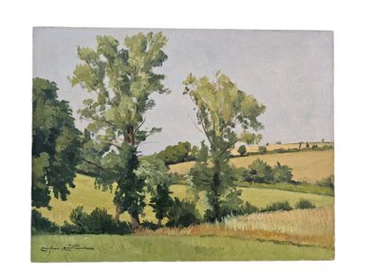 Christian Couillaud 
Paysages aux champs...