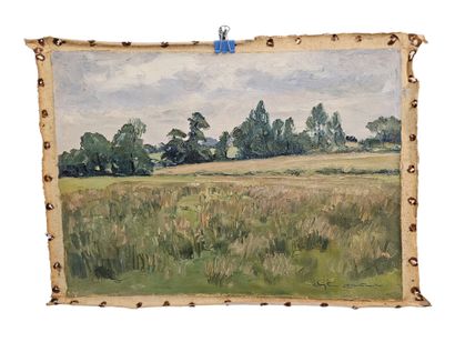 Christian Couillaud
-Paysage provencal 
Huile...