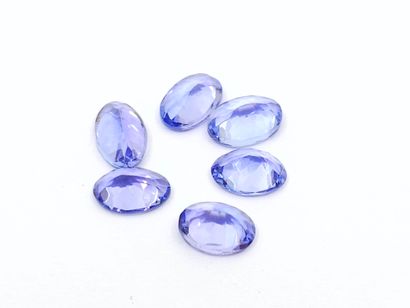 SIX TANZANITES violet blue IF de forme ovale,...
