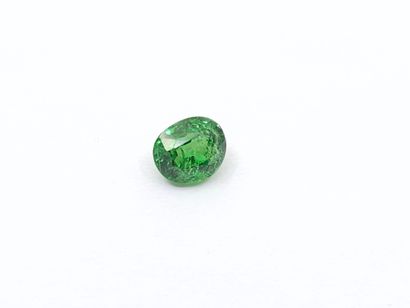 GRENAT tsavorite green de forme ovale, 	Tanzanie	,...
