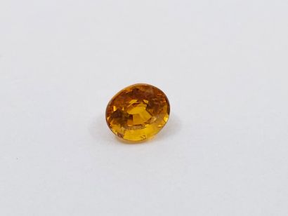 SAPHIR yellowish orange , ovale , Thailand...