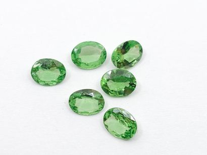 SIX GRENATS tsavorite green de forme ovale,...