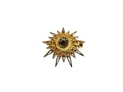 BROCHE en or jaune 750° 
Poids : 12,3 g