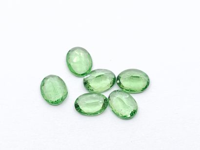 SIX GRENATS tsavorite green de forme ovale,...