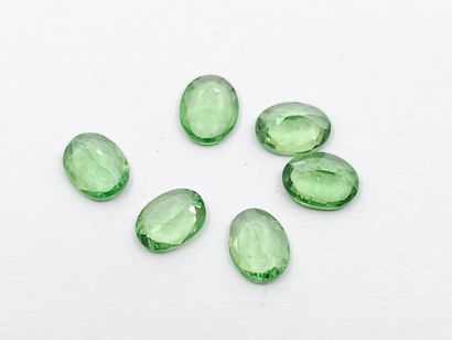 SIX GRENATS tsavorite green VVS de forme...