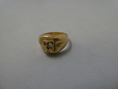1 Ring 2-tone 18kt gold 5,37g