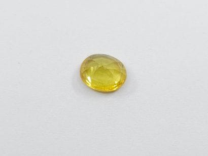 Sapphire yellow, oval, madagascar, 1,15 carats...