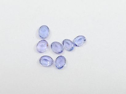 TANZANITE violet blue Nbr 7 , oval , Tanzania...