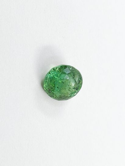 TOURMALINE green , oval , Mozambique , 2,74...
