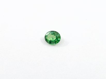 GRENAT tsavorite green de forme ovale, Tanzanie,...