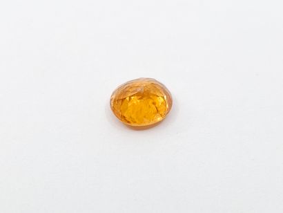 GRENAT orange spessartite fanta , oval ,...