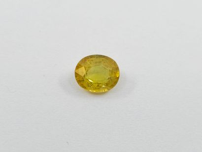 Sapphire yellow, oval, madagascar, 1,15 carats...