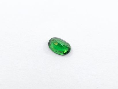 GRENAT tsavorite shocking green , ovale ,...