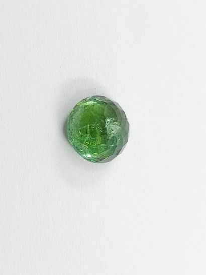 TOURMALINE green , oval , Mozambique , 2,74...