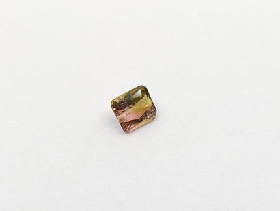 TOURMALINE green and pink , emerald , Mozambique...
