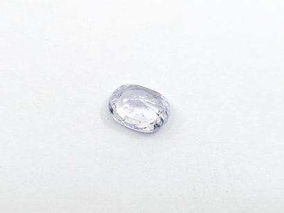 SAPHIR light purple , oval , Ceylon , 0,79...
