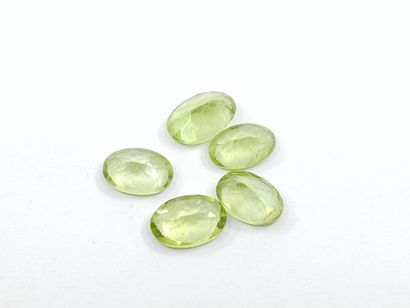 PERIDOT green Nbr 5 , oval , Pakistan , 2.22...