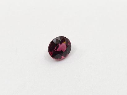 GRENAT purplish pink rhodolite VVS , oval...