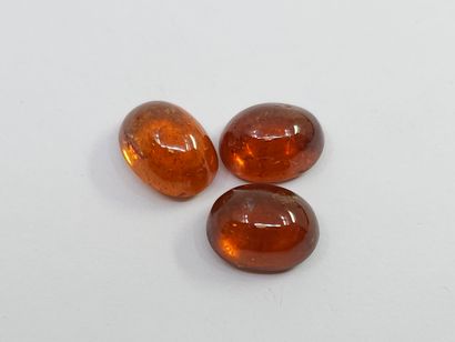 GRENAT orange spessartite Nbr 3 , cabochon...
