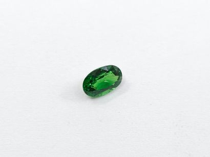 GRENAT tsavorite shocking green , ovale ,...