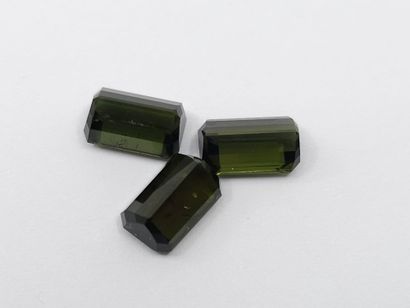 TOURMALINE green Nbr 3 , emerald , Mozambique...