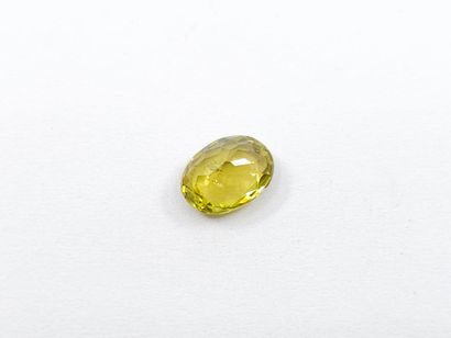 TOURMALINE greenish yellow , ovale , Mozambique...