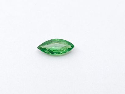 GRENAT tsavorite green , marquise , Tanzania...