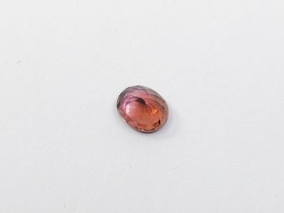 TOURMALINE orangy pink IF , oval , Mozambique...