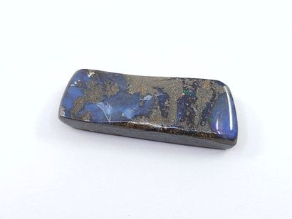 OPALE koriot nut boulder du Queensland ,...