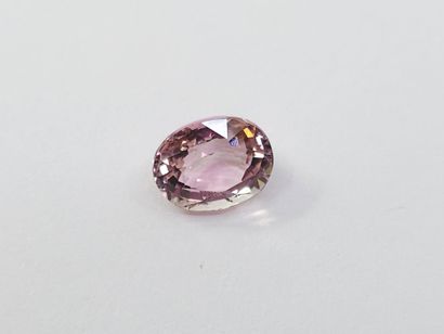 TOURMALINE pink VS , oval , Mozambique ,...