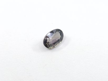 SAPHIRE purple VVS Songea , ovale , Tanzanie...