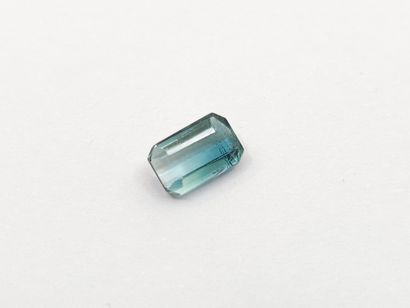 TOURMALINE bi-color green and greenish blue...