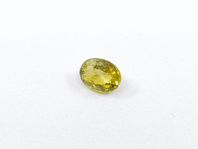 TOURMALINE greenish yellow , ovale , Mozambique...
