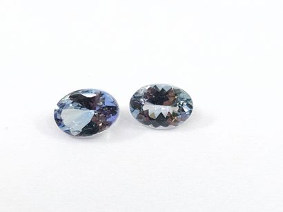 DEUX TANZANITES violet blue VS de forme ovale,...