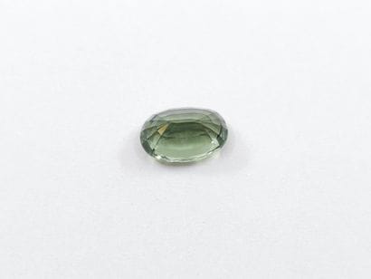 TOURMALINE green VVS , oval , Mozambique...