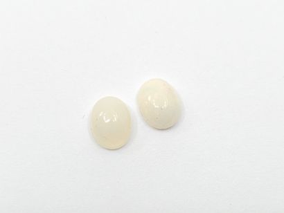 OPAL play of color crystal Nbr 2 , cabochon...