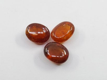 GRENAT orange spessartite Nbr 3 , cabochon...