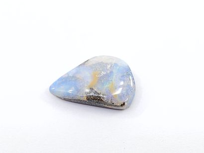 OPALE koriot nut boulder du Queensland ,...
