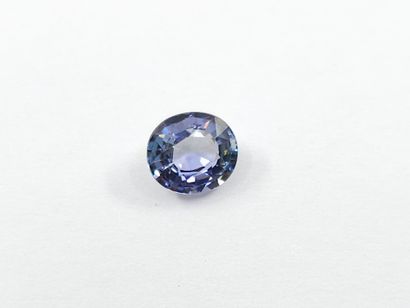 TANZANITE violet blue VS , ovale , Tanzanie...