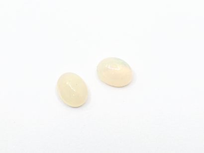 OPAL play of color crystal Nbr 2 , cabochon...