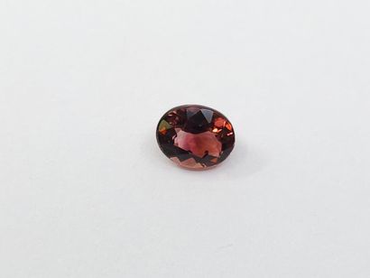 TOURMALINE orangy pink IF , oval , Mozambique...