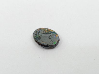 OPAL koriot nut boulder Queensland , cabochon...