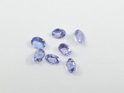 TANZANITE violet blue Nbr 7 , oval , Tanzania...